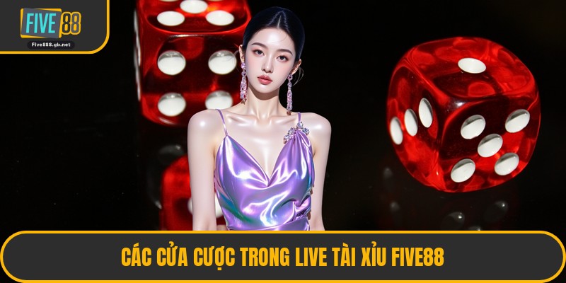 Các Cửa Cược Trong Live Tài Xỉu Five88