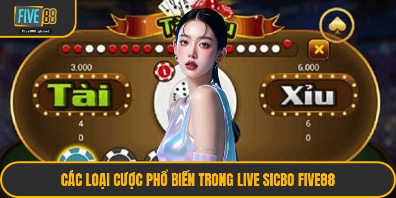 Các loại cược phổ biến trong Live Sicbo Five88
