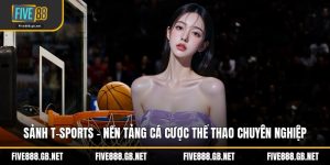 Sảnh T-Sports – Nền Tảng Cá Cược Thể Thao Chuyên Nghiệp